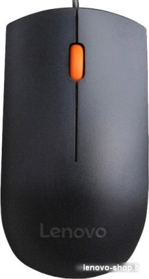 Lenovo 300 USB Mouse