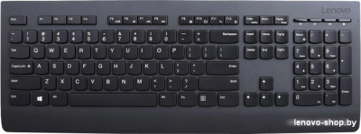 Lenovo Professional Wireless Combo