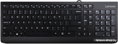 Lenovo 300
