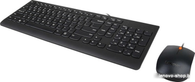 Lenovo 300 USB Combo